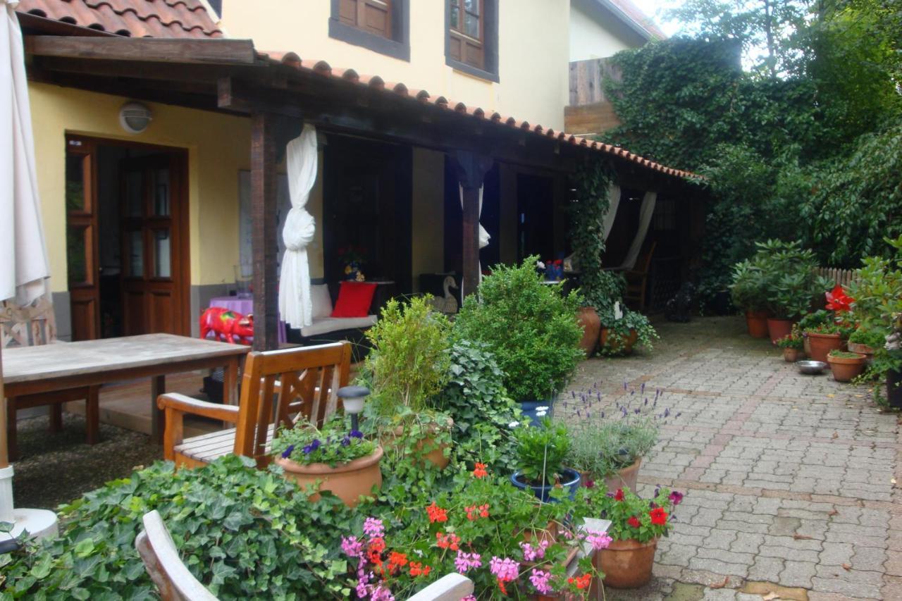 Apartement De Vacances Alsace - Ferienwohnung Elsass - Holiday Apartment Alsace Bischwiller Dış mekan fotoğraf