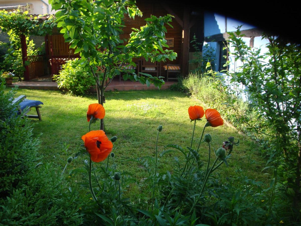Apartement De Vacances Alsace - Ferienwohnung Elsass - Holiday Apartment Alsace Bischwiller Dış mekan fotoğraf