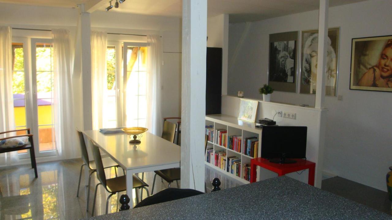 Apartement De Vacances Alsace - Ferienwohnung Elsass - Holiday Apartment Alsace Bischwiller Dış mekan fotoğraf