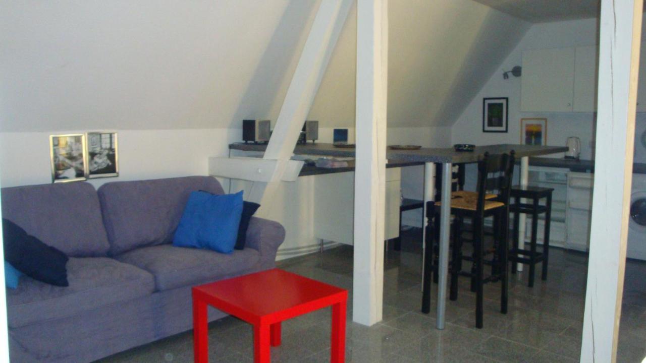 Apartement De Vacances Alsace - Ferienwohnung Elsass - Holiday Apartment Alsace Bischwiller Dış mekan fotoğraf